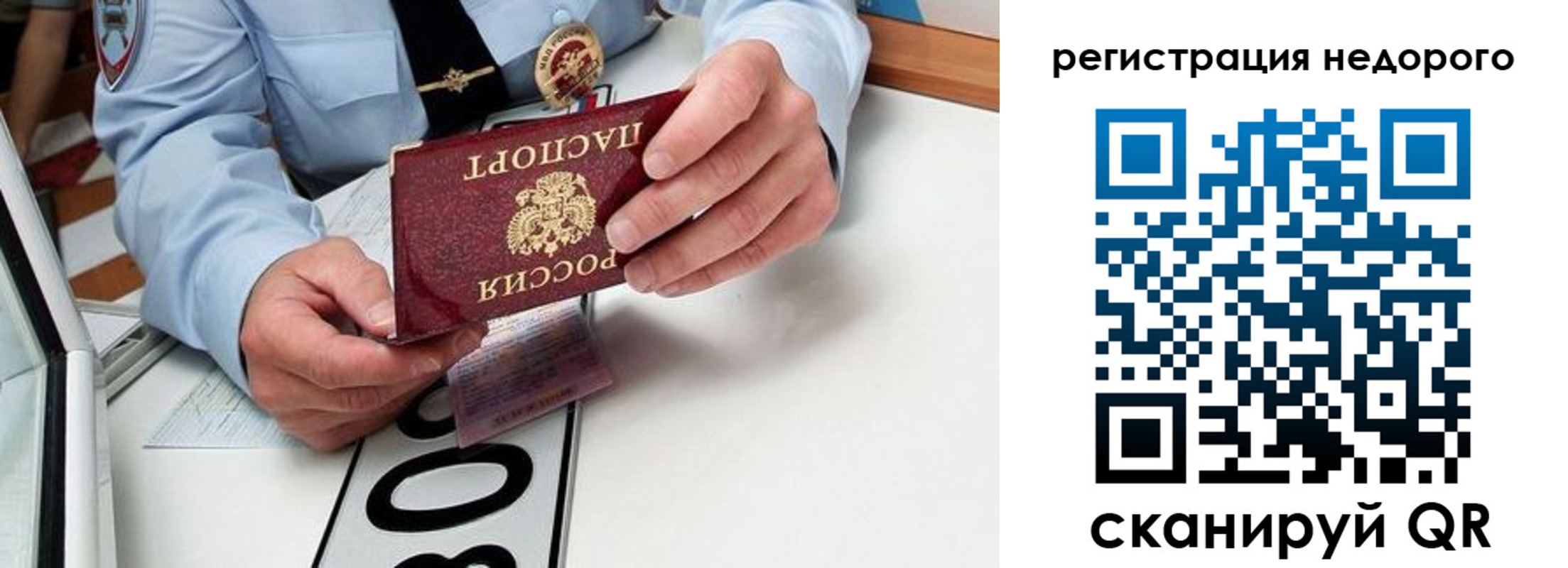 прописка ребенка в Мурманской области